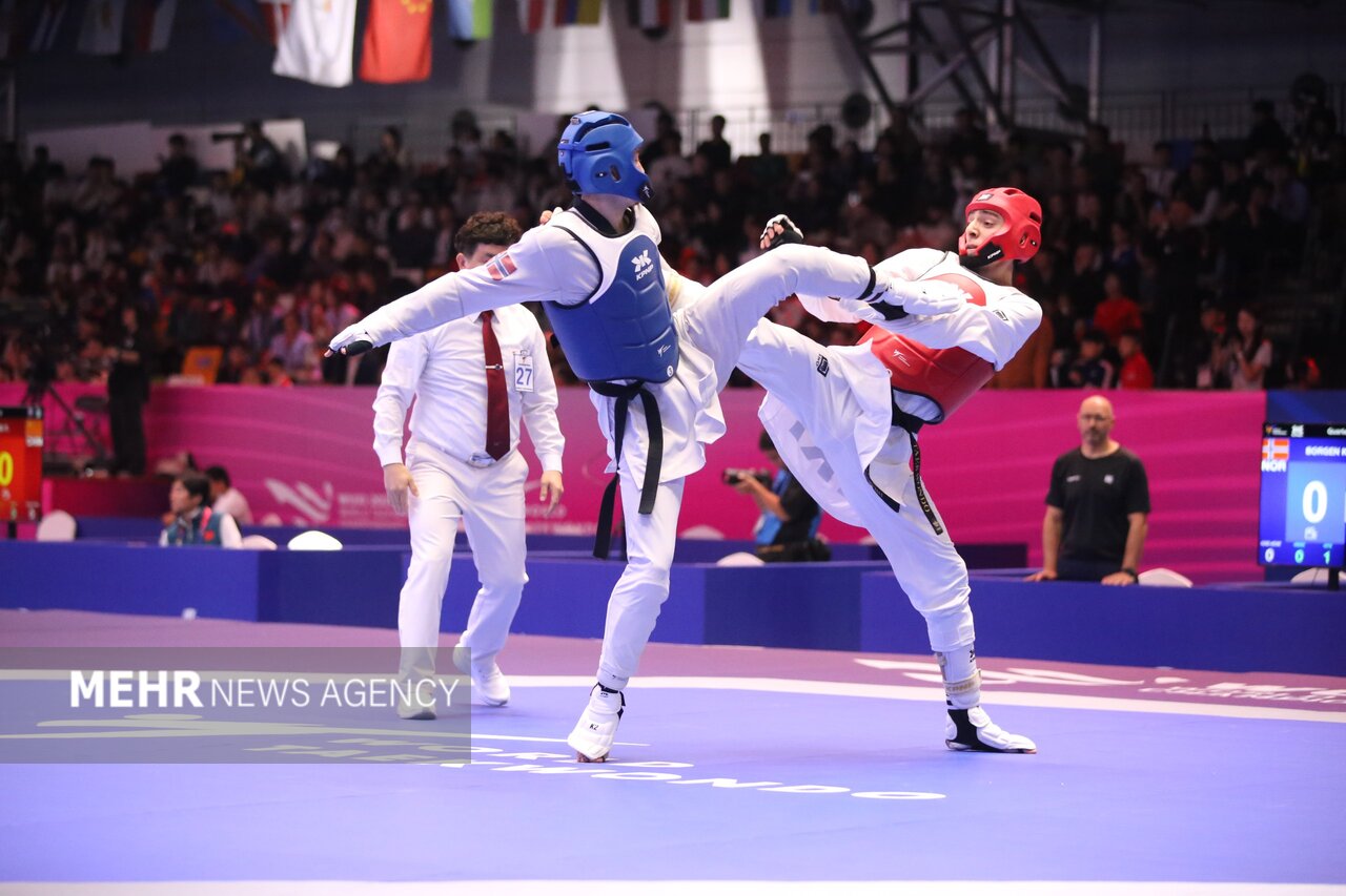 مردانی: نایب قهرمانی جهان عنوان ارزشمندی برای تکواندو ایران است