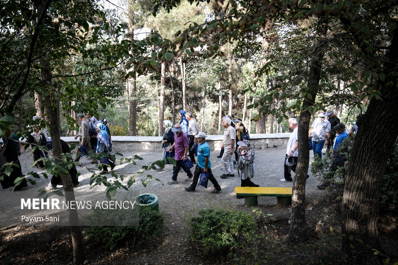 «گامیران» طرحی برای سلامت مردم ایران/پیادهروی که برای شما پول میآورد