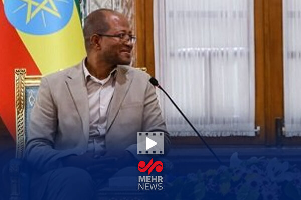 دیدار رئیس مجلس نمایندگان اتیوپی با عراقچی