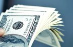 رها شدگی بازار ارز و تداوم روند صعودی نرخ دلار