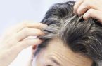 طب سنتی در مورد علت سفیدی مو چه می‌گوید؟