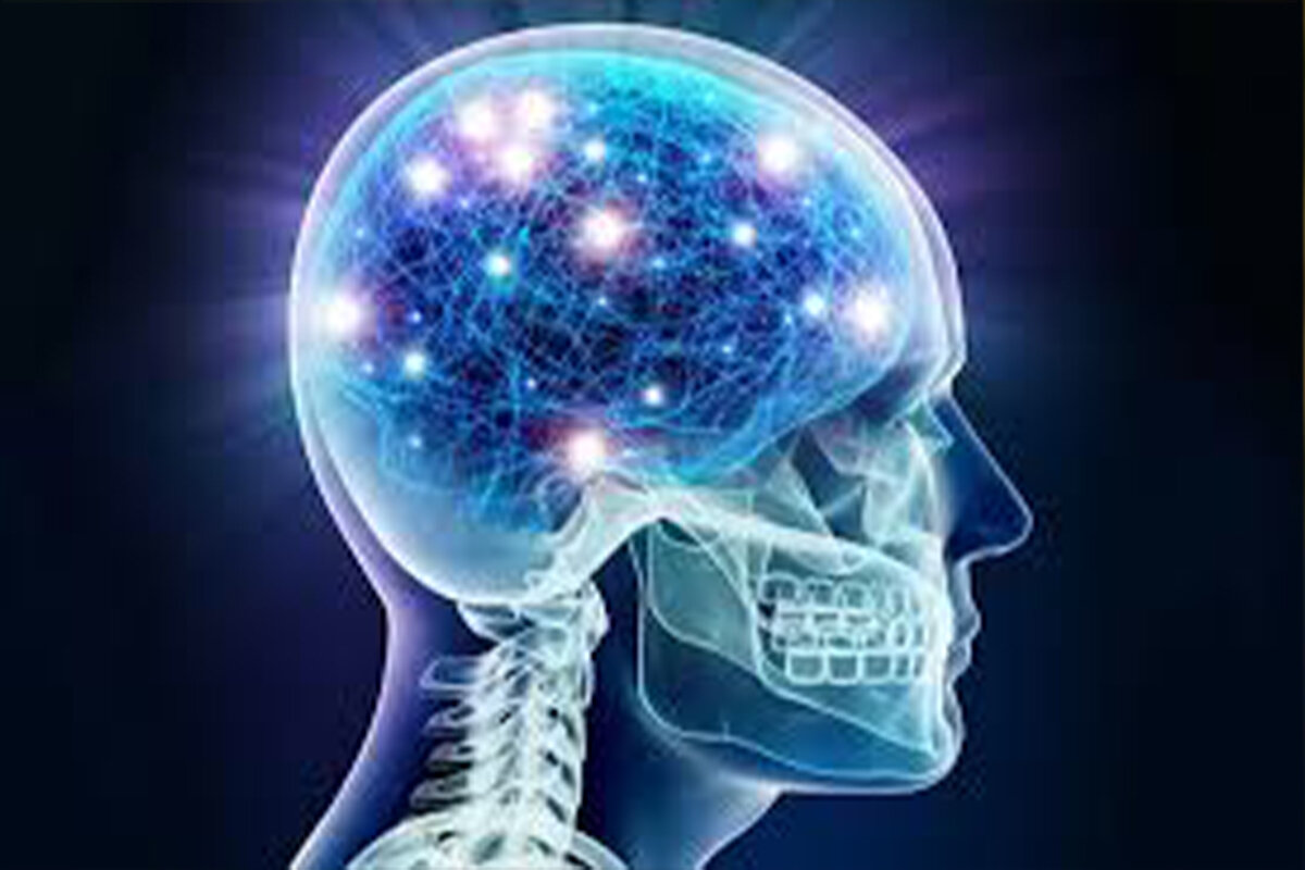 مصرف این غذاها به مغز آسیب میرساند