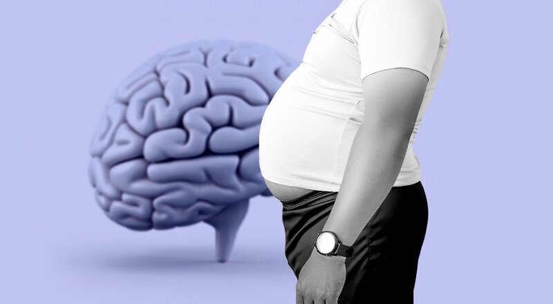 وقتی وزنِ اضافه، ذهن را سنگین می‌کند/ چاق‌ها حواس‌پرت‌تر هستند؟/ چاقی شکمی، زنگ خطری برای مغز