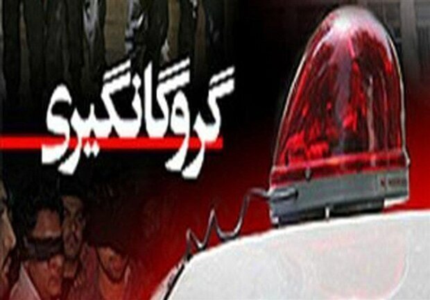 آزادی گروگان چینی توسط پلیس/ دستگیری باند گروگانگیر اتباع غیرمجاز