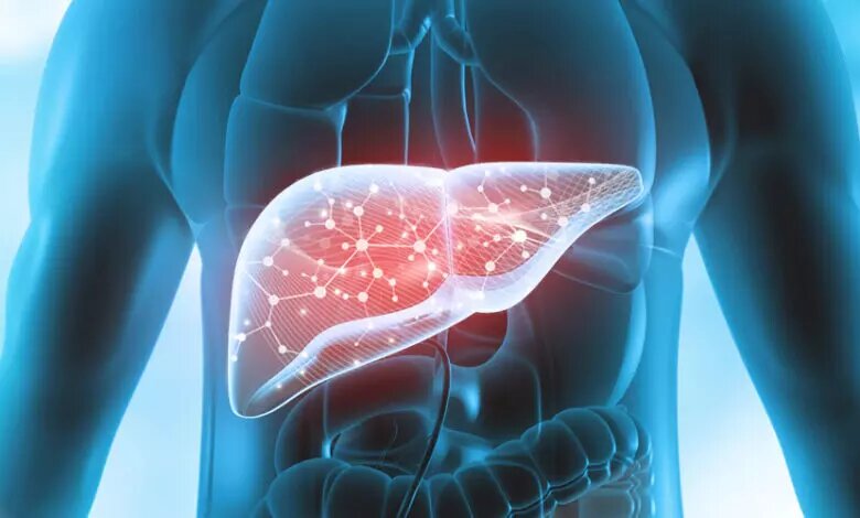 آیا ماءالشعیر غیرالکلی برای کبد چرب مضر است؟/ میزان واقعی الکل در نوشیدنی‌های بدون الکل