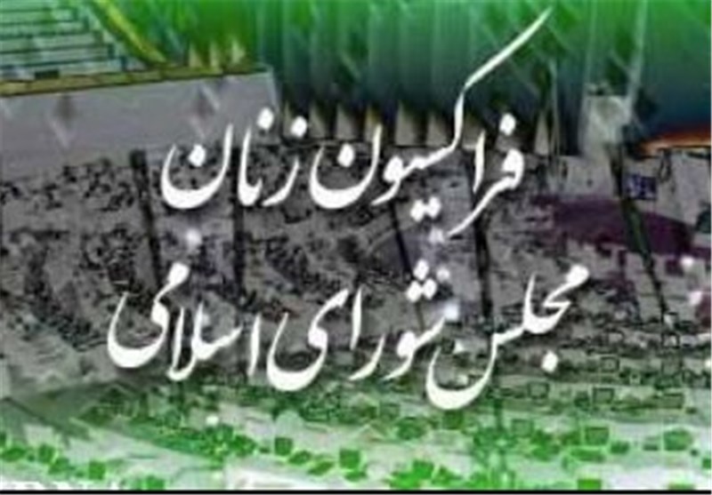 جلسه فراکسیون زنان مجلس با وزیر اطلاعات