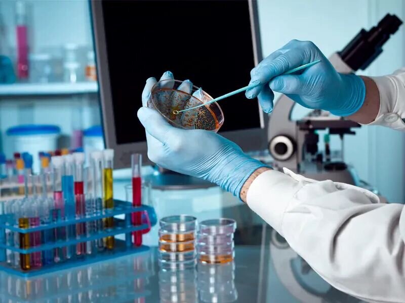 سرپرست پژوهشگاه ملی مهندسی ژنتیک و زیست فناوری منصوب شد