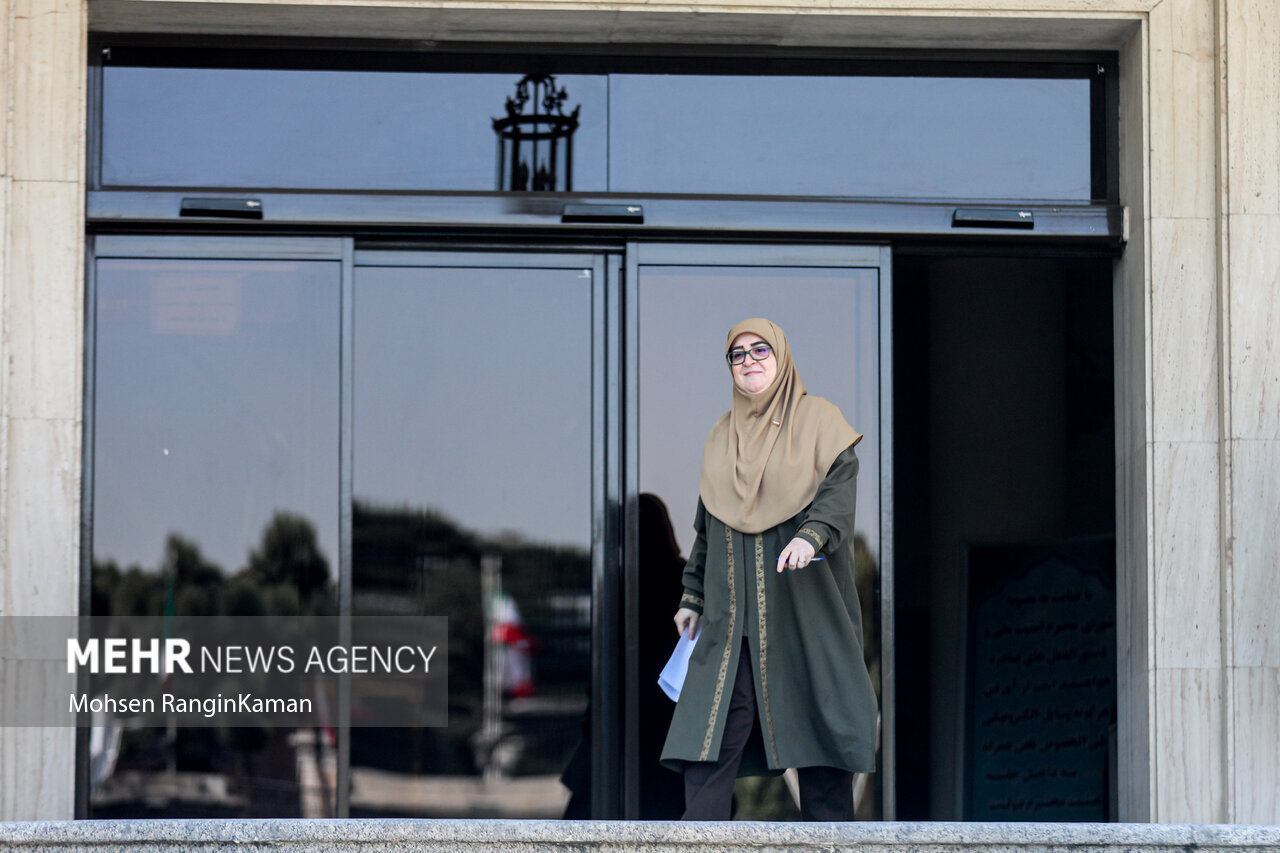 مهاجرانی: برنامه اقتصادی جدید دولت یکشنبه اعلام میشود