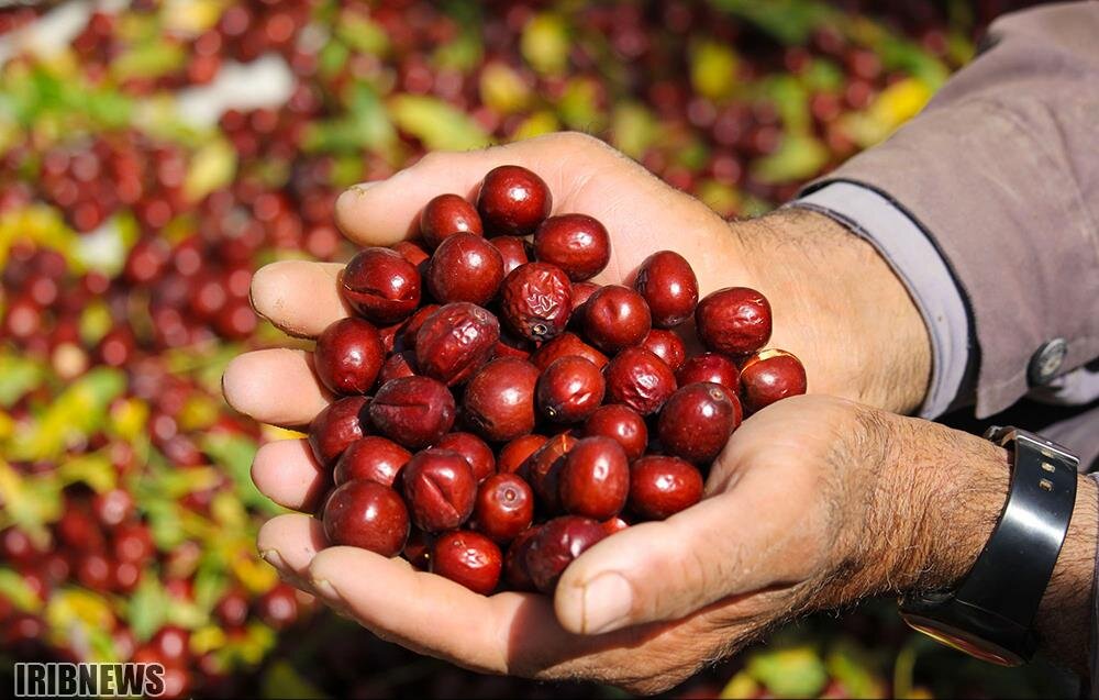 میوه‌ای با خواص جادویی؛ از پاکسازی کبد تا رفع یبوست