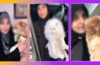 نگهداری سگ در کنار حجاب؟ سبک زندگی جدید یا فرمولی برای جذب لایک؟!
