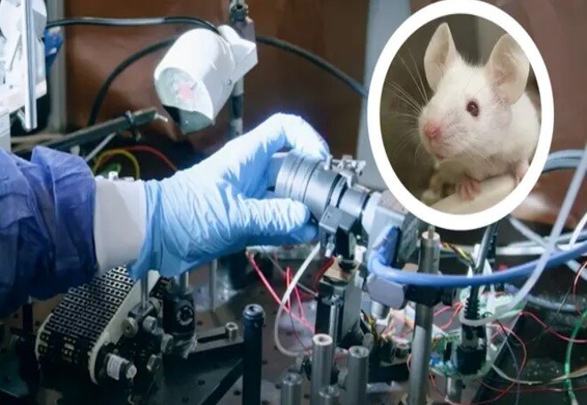 یادگیری ماشینی ذهن خوانی را ممکن می کند